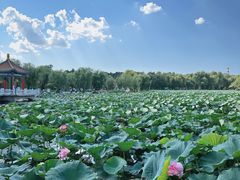 -长春市南湖公园