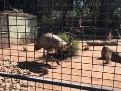 -费瑟代尔野生动物园