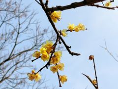 -白塘生态植物园