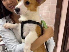 -FAELING PETS美天灵宠物(富力广场店)