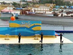 -秦皇岛乐岛海洋王国