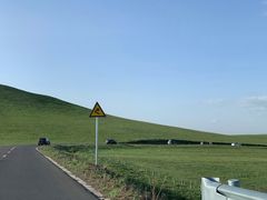 -乌兰布统草原
