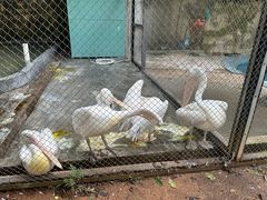 -广东茂名森林公园