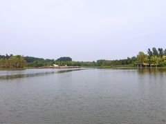 -东郊湿地公园
