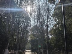 -南昌动物园