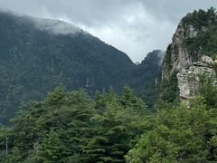 -牛背梁国家森林公园