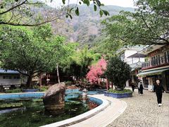 -汕尾莲花山温泉度假村