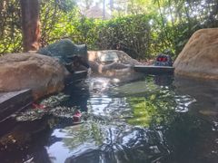 -威海天沐温泉度假区