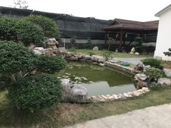 -呼吸森林·生态农庄农家乐私房菜