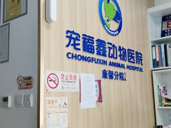 -宠福鑫康馨动物医院·骨科·眼科
