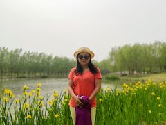 -东郊湿地公园