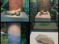 -吉林大学(前卫南区)