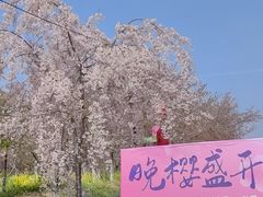 -古柏渡飞黄旅游区