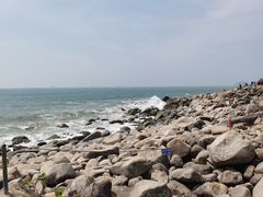 -广东惠东海龟国家级自然保护区