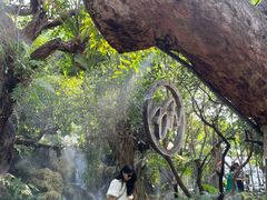 -Chom Cafe and Restaurant