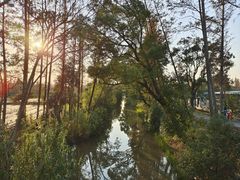 -上海长兴岛郊野公园