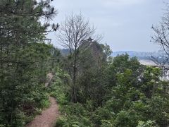 -马口生态公园