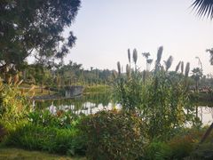 -枫香湖儿童公园