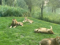 -北京野生动物园