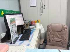 -半岛宠物医院24小时(科华中路店)
