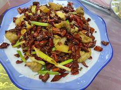 辣子肥肠-洪霞餐馆