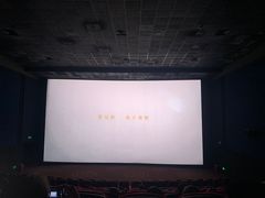 -万达影城(锦华万达广场IMAX店)