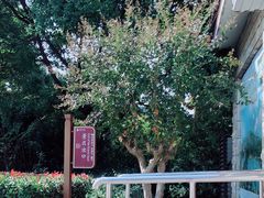 -白马涧龙池景区