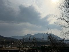 -中国宣纸文化园