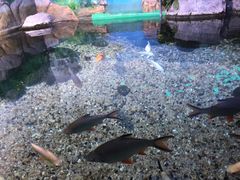 -常州海昌海洋探索馆