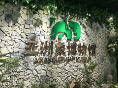 -野象谷景区