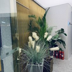 -3AM·S HAIR SALON烫发染发接发