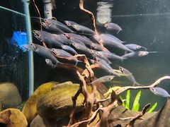 -太平洋海底世界