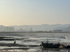 -北岐滩涂