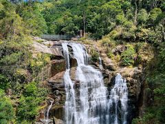 -海南热带雨林国家公园吊罗山景区