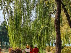 -丁香湖公园