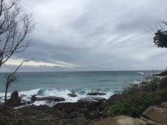 -龙坑生态保护区