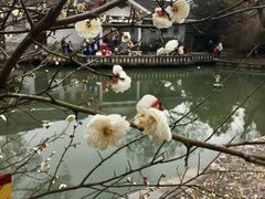 -无锡梅园公园