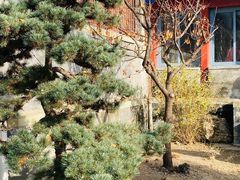 -北京鲁迅博物馆(北京新文化运动纪念馆鲁博馆区)