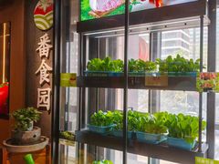 -番食园鲜食火锅(高新店)