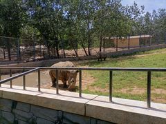 -大连森林动物园