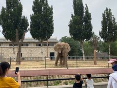 -石家庄市动物园