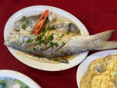 -蛇口康乐快餐鱼仔档(翠苑小区店)