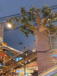 -卡通尼·Safari非洲探索乐园·生日会(金桥国际商业广场店)