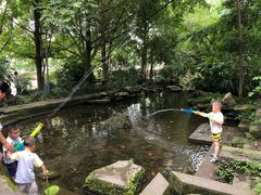 -成都市活水公园