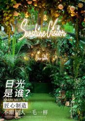 点击看大图 -日光视觉婚纱摄影(旗舰店)