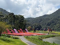 -广州市石门国家森林公园