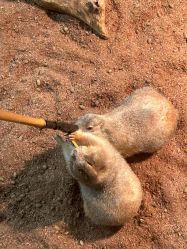 -Zoolung Zoolung动物主题公园(海信广场店)