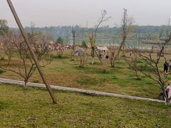 -白鹭湾湿地公园