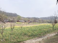 -黄陂区野村谷景区