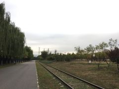 -永定河休闲森林公园